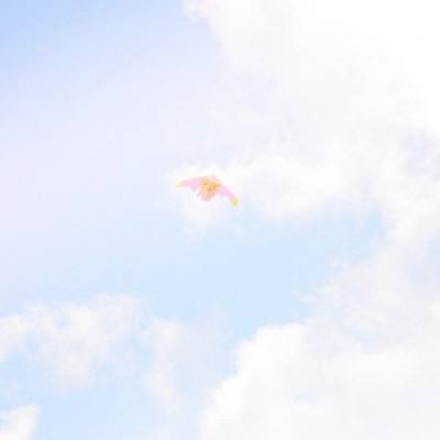 昆仑海岸分散设备控制系统 携手...